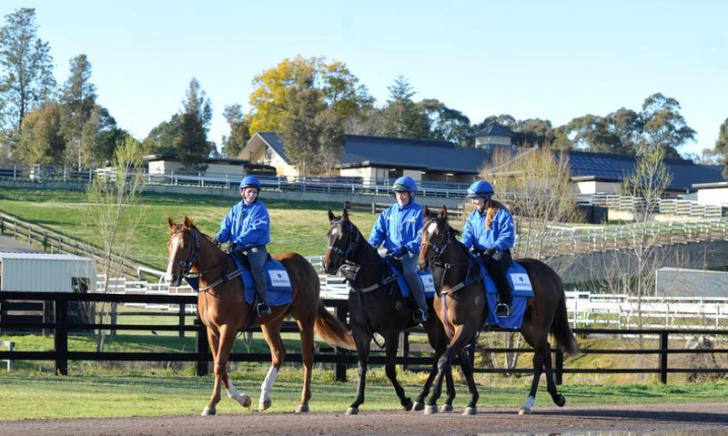 Godolphin Stud